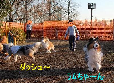 道満へ☆はるばる遠征~♪_e0195743_254734.jpg