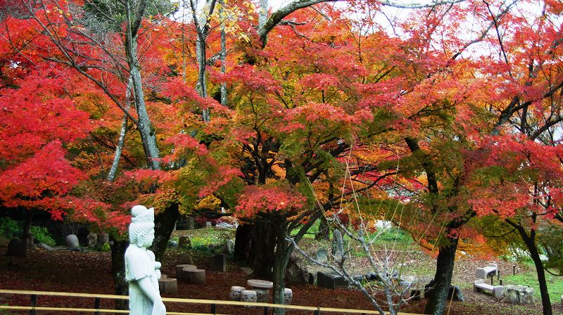 錦秋の都路２０１０ (山科 曹洞宗 岩屋寺（大石内蔵助隠棲の地旧跡）の紅葉) (2010年12月07日)_c0119555_20554944.jpg