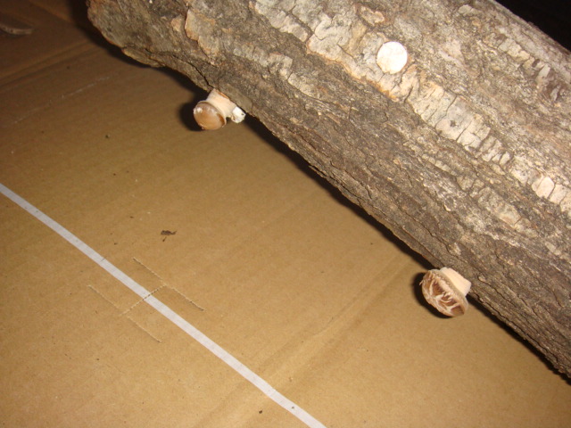 c0074157_22473363.jpg