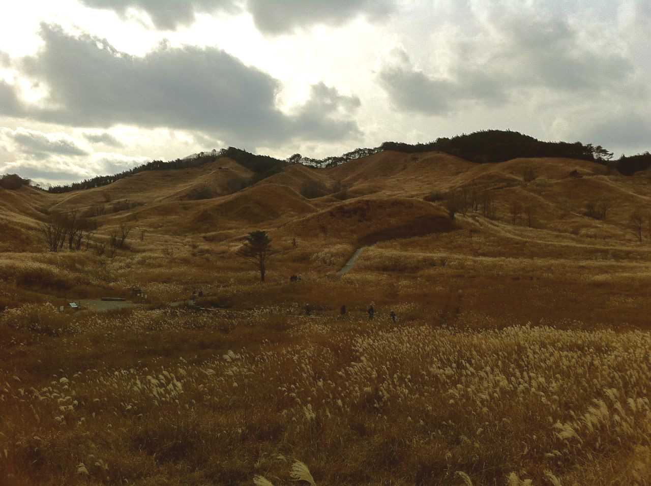 c0105957_08820.jpg