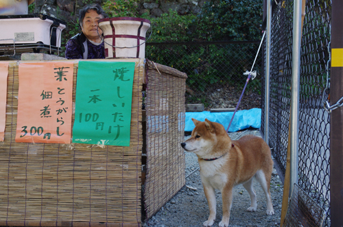 吉野山を下るの巻_c0103558_22572699.jpg