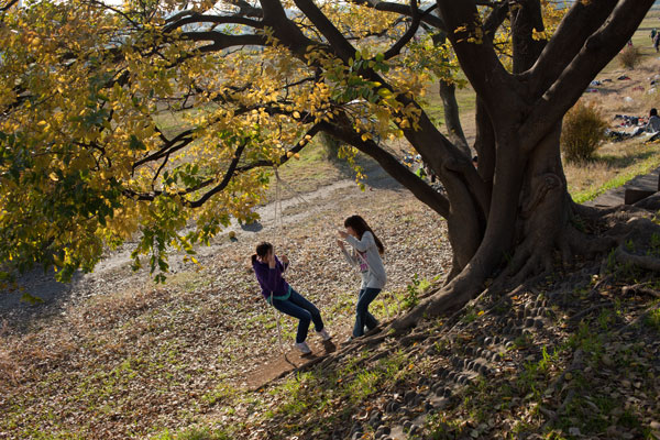 2010/12/06　多摩川散歩_b0171364_10231270.jpg