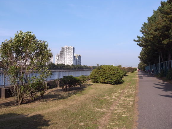 2010.11.28花見川サイクリング道路_b0204466_8363395.jpg