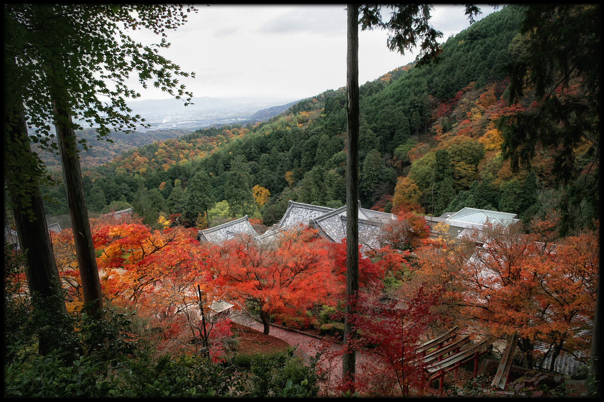 紅葉　2010 <善峯寺> 4_f0021869_2341019.jpg