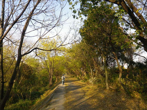 c0002874_22192892.jpg