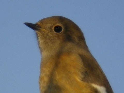 c0002874_22202966.jpg