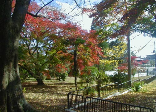 ●一載千遇の瓦礫掘り_d0053294_2334461.jpg