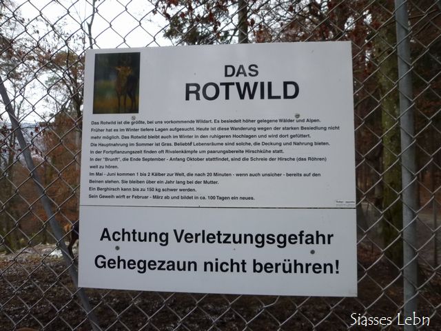 フェルトキルヒの自然公園_e0088895_207075.jpg