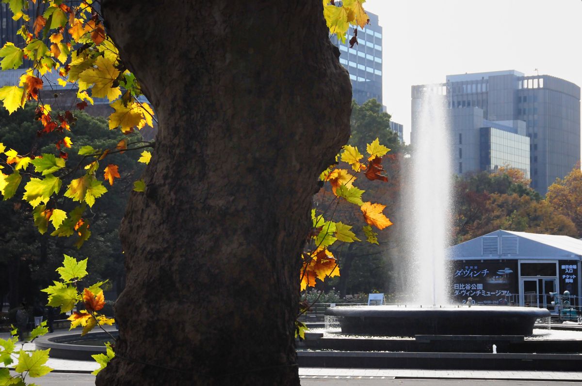 日比谷公園の紅葉_f0133213_2294914.jpg