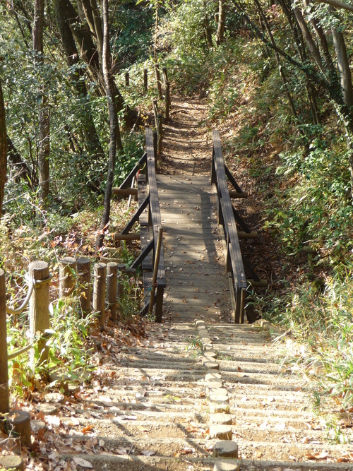 b0087914_232008.jpg