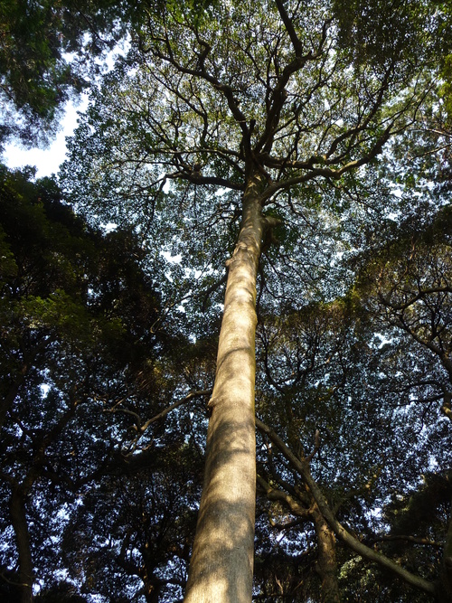 b0087914_2352698.jpg