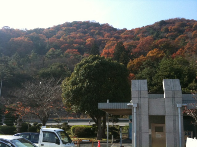 b0155417_059220.jpg