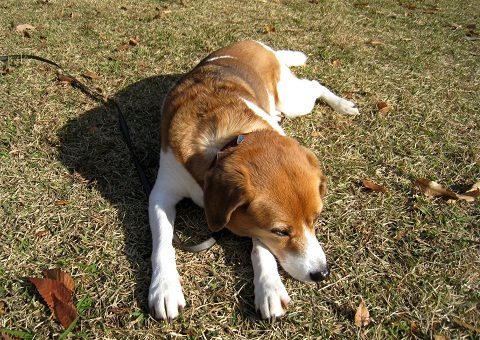 c0084117_201114.jpg