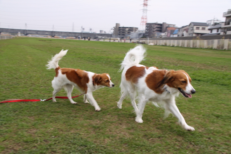a0117719_23423257.jpg
