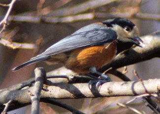f0232920_141292.gif