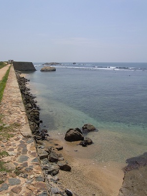 a0154527_1134598.jpg