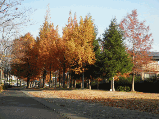 c0136736_17462316.gif