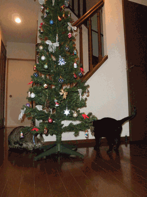 c0136736_187240.gif