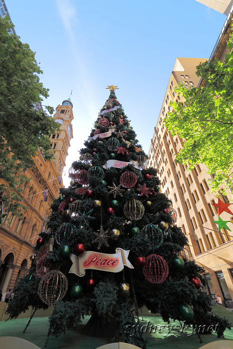 Xmas Tree in Martin Place Day & Night_f0084337_2139336.jpg