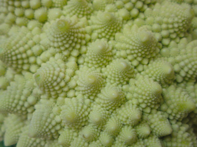 f0174244_22422841.jpg