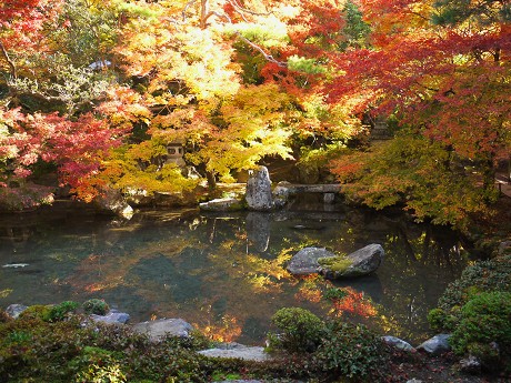 蓮華寺の紅葉_c0057946_20174015.jpg