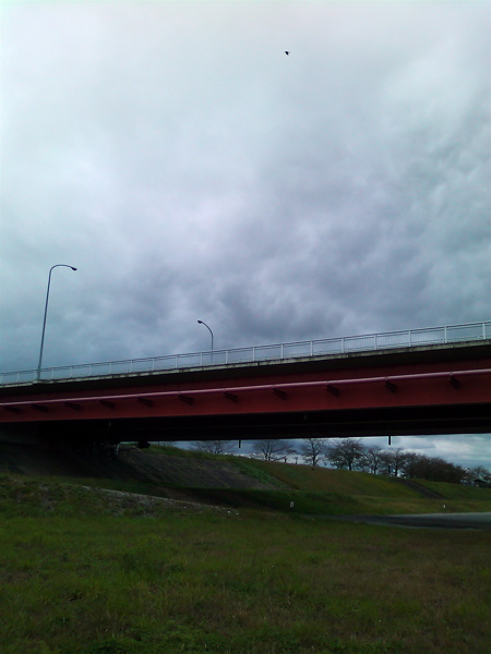 d0155148_2245499.jpg