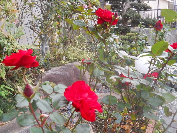 c0107149_8201277.jpg