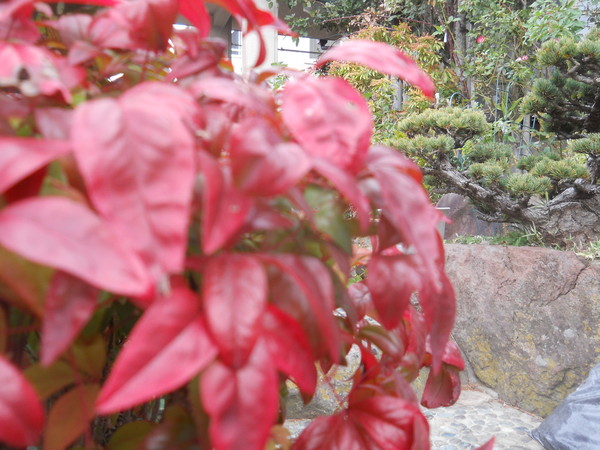 c0107149_8331526.jpg