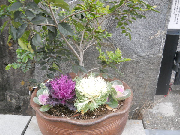 c0107149_8393132.jpg