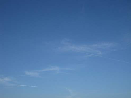 a0162251_1431572.jpg