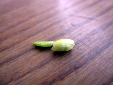 c0147952_2041479.jpg