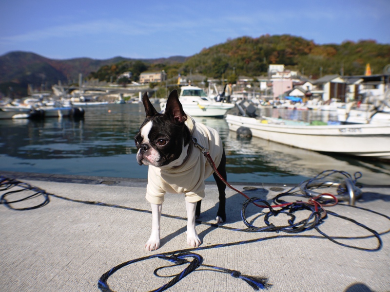 土・日のお出掛けは山と海♪_d0155952_15572663.jpg