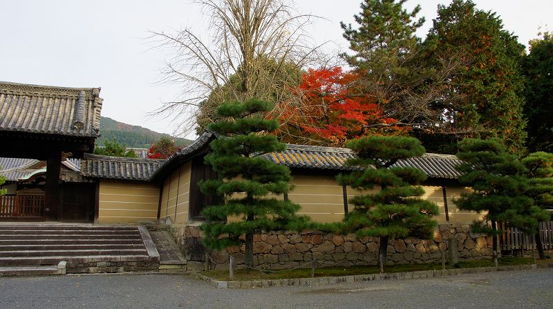 錦秋の都路２０１０ (山科 真言宗善通寺派大本山 随心院（小野小町縁の地）の紅葉) (2010年12月08日)_c0119555_2134985.jpg