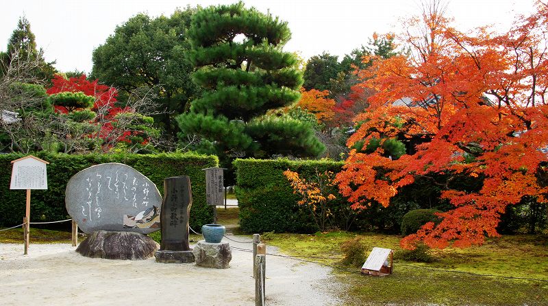 錦秋の都路２０１０ (山科 真言宗善通寺派大本山 随心院（小野小町縁の地）の紅葉) (2010年12月08日)_c0119555_2141849.jpg