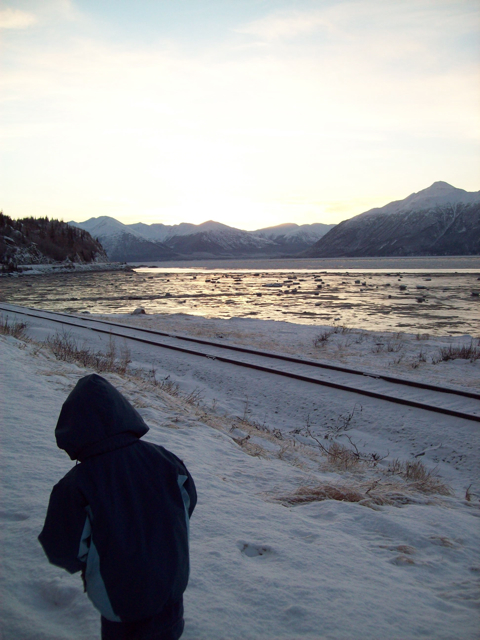 d0143355_81127.jpg