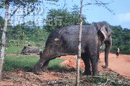 f0019856_16404818.gif
