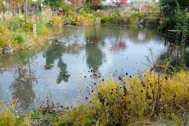 f0176458_11201117.jpg
