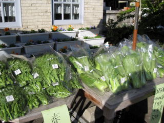 有機野菜販売イベント_a0142059_15482575.jpg