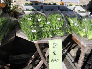 有機野菜販売イベント_a0142059_1549389.jpg