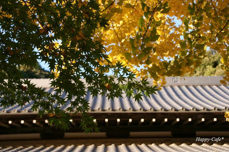 法多山本坊と黒門 紅葉たちの語らう場所_a0167759_1954146.jpg