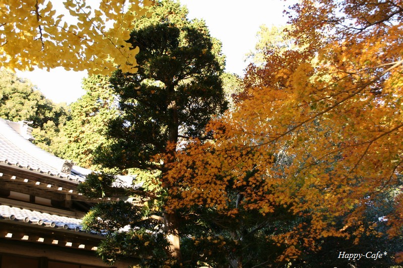 法多山本坊と黒門 紅葉たちの語らう場所_a0167759_19544580.jpg