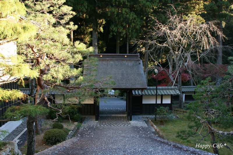 法多山本坊と黒門 紅葉たちの語らう場所_a0167759_19575791.jpg