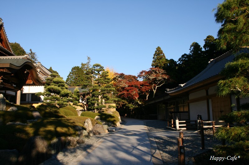 法多山本坊と黒門 紅葉たちの語らう場所_a0167759_1959056.jpg