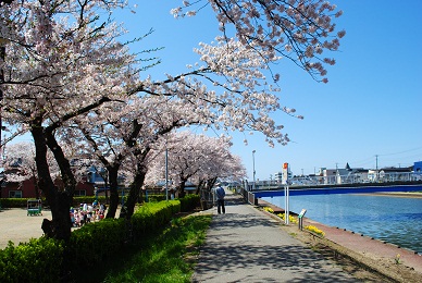 ボツ写真その２～4月桜編②～_f0237159_14413232.jpg