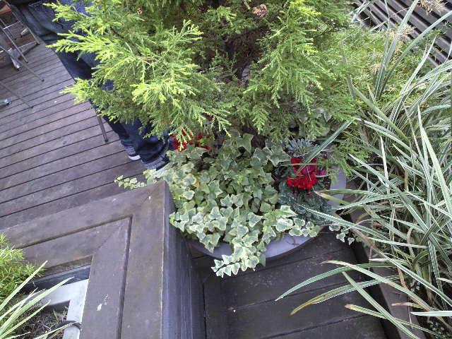 c0147261_6412493.jpg