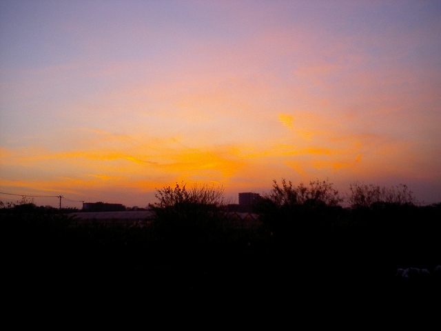 b0155973_6402498.jpg