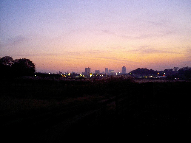 b0155973_6404391.jpg