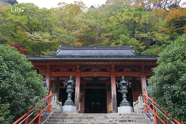 * 龍泉寺 *_e0166574_1714252.jpg