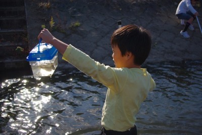 秋にも川で生き物さがし_e0008880_94425.jpg