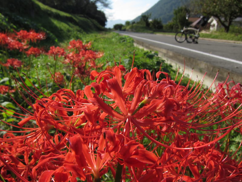 片鉄ロマン街道・津山ホルモンサイクリングー季節感、大所帯、出会い・再会、グルメ...充実！！_e0138081_17174262.jpg